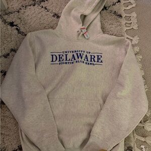 Light Gray College Hoodie - University of Delaware